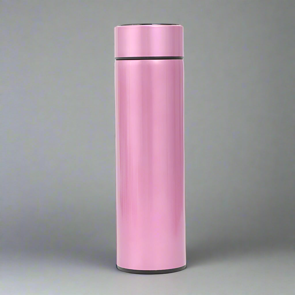 Stainless Steel Smart Water Bottle