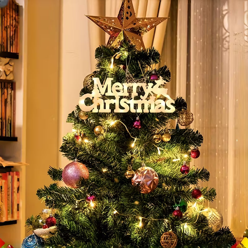 LED Illuminated “Merry Christmas”